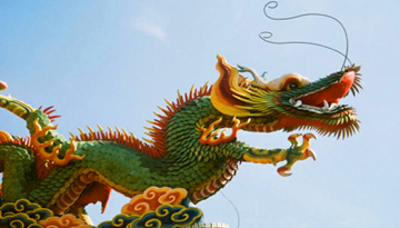 Happy Chinese Loong Year 